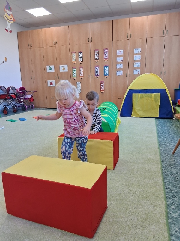 Zeleňásci v pohybu