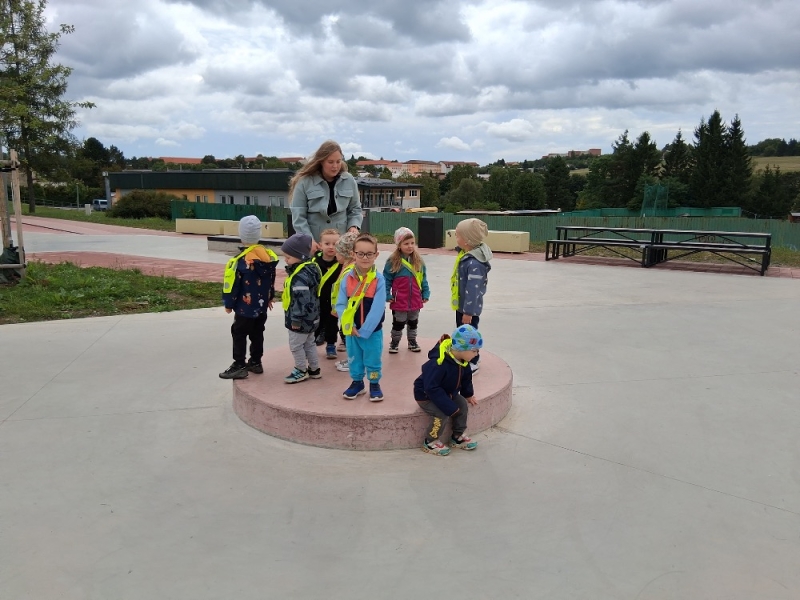 Zeleňásci v pohybu