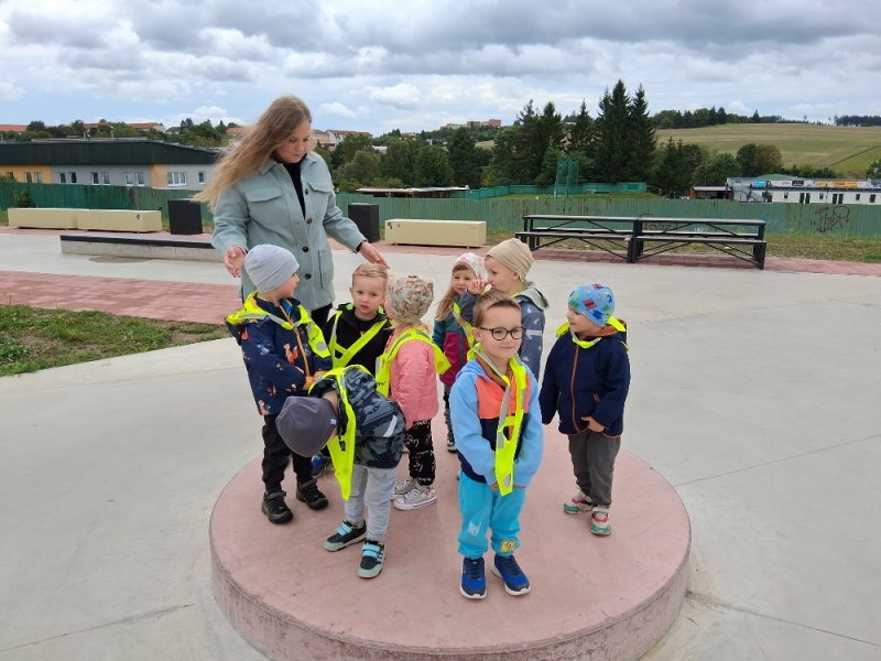 Zeleňásci v pohybu