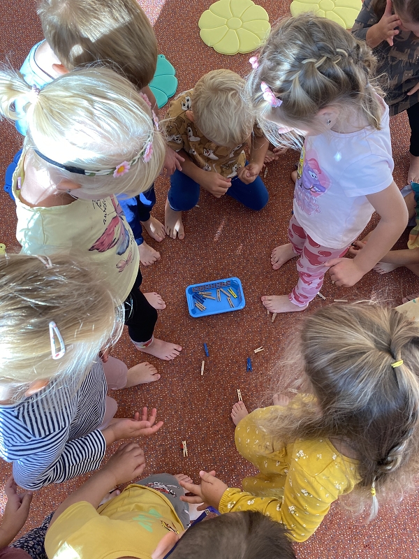 Žluťásci - Rodina