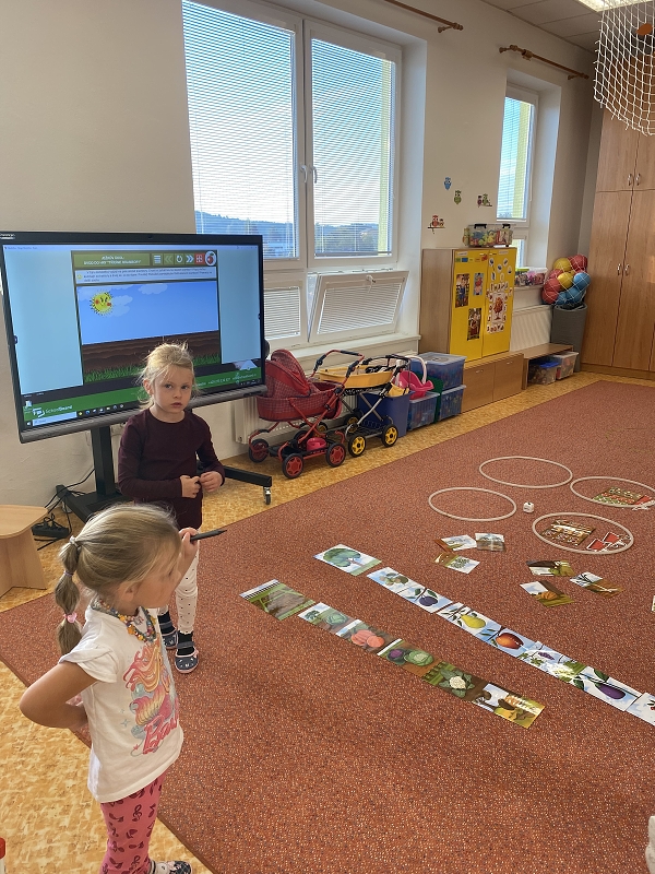 Žluťásci - Zelenina a ovoce