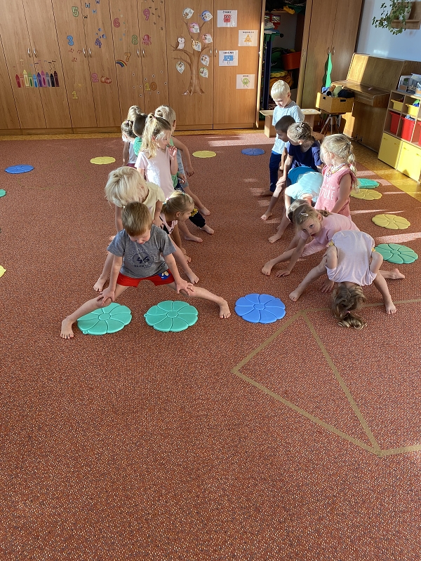 Žluťásci - Zelenina a ovoce