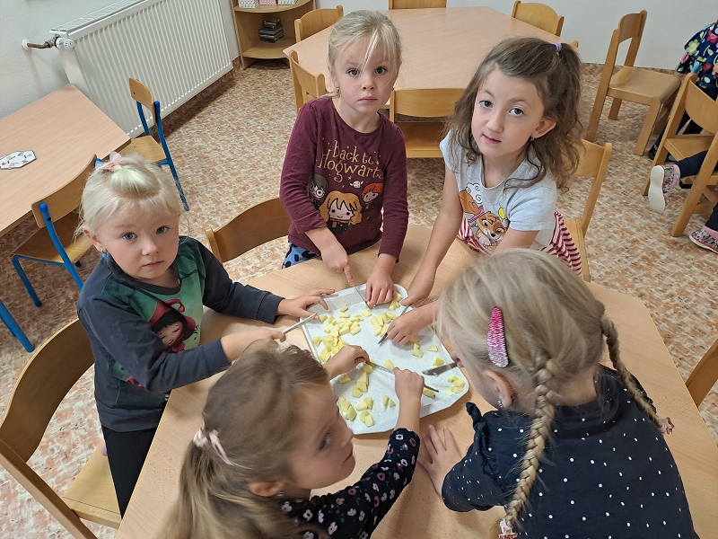 Na zahrádce u plotu - Modrásci