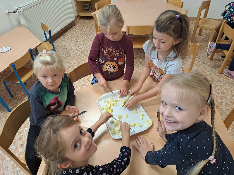 Na zahrádce u plotu - Modrásci