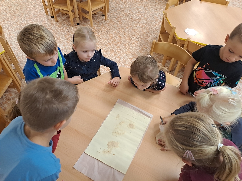 Na zahrádce u plotu - Modrásci