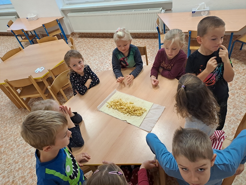 Na zahrádce u plotu - Modrásci