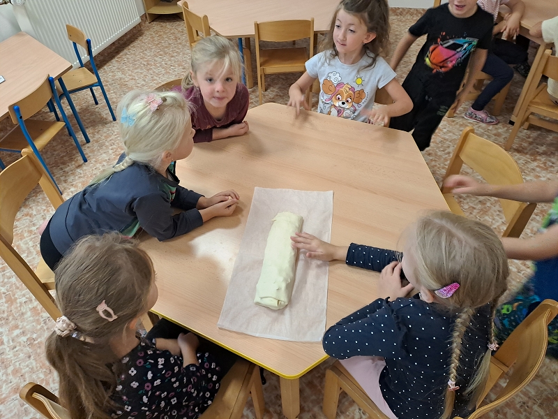 Na zahrádce u plotu - Modrásci