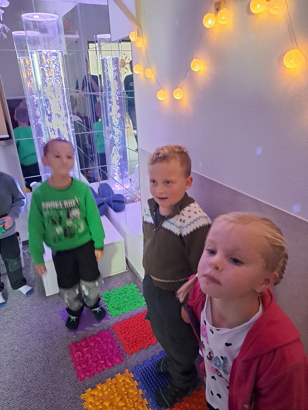 Návštěva v Kamélii - Modrásci