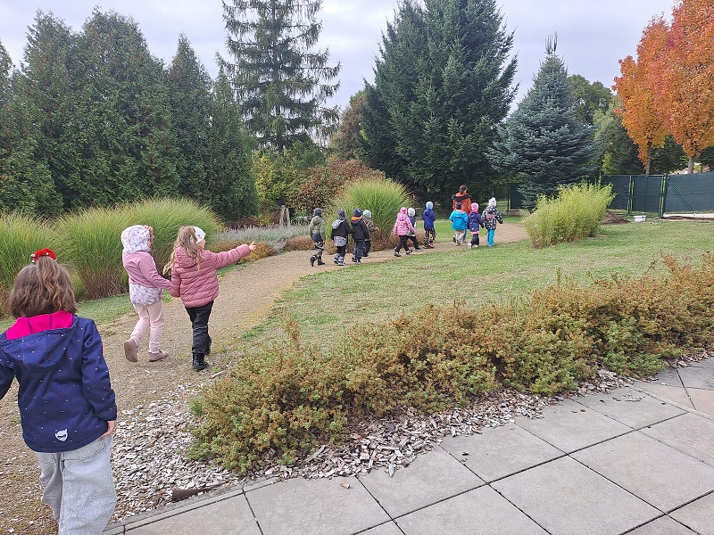 Návštěva v Kamélii - Modrásci