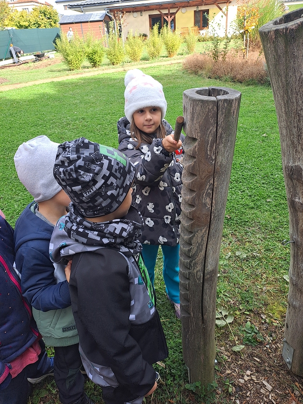 Návštěva v Kamélii - Modrásci