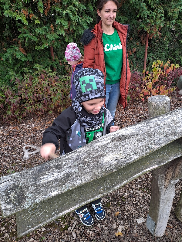 Návštěva v Kamélii - Modrásci