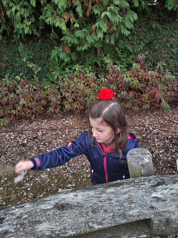 Návštěva v Kamélii - Modrásci