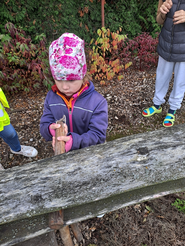 Návštěva v Kamélii - Modrásci