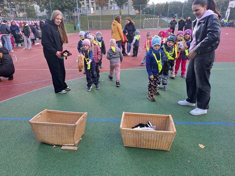 Pohár starosty města - Modrásci