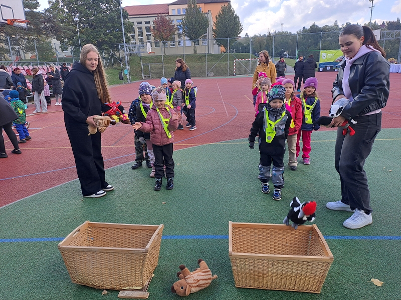 Pohár starosty města - Modrásci