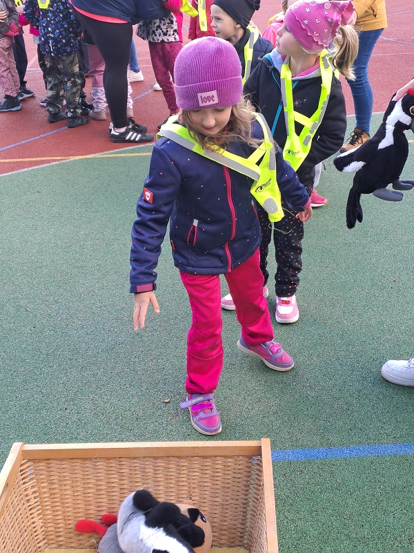 Pohár starosty města - Modrásci