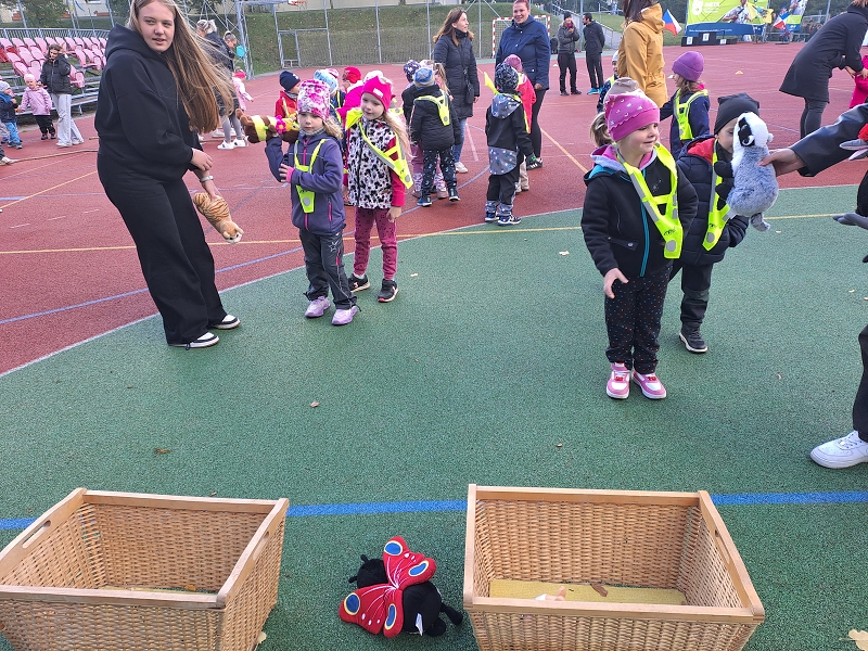 Pohár starosty města - Modrásci