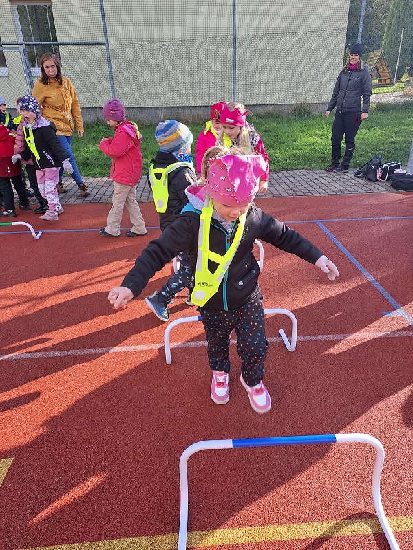 Pohár starosty města - Modrásci