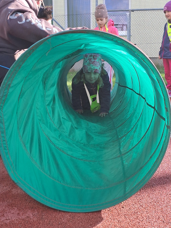 Pohár starosty města - Modrásci