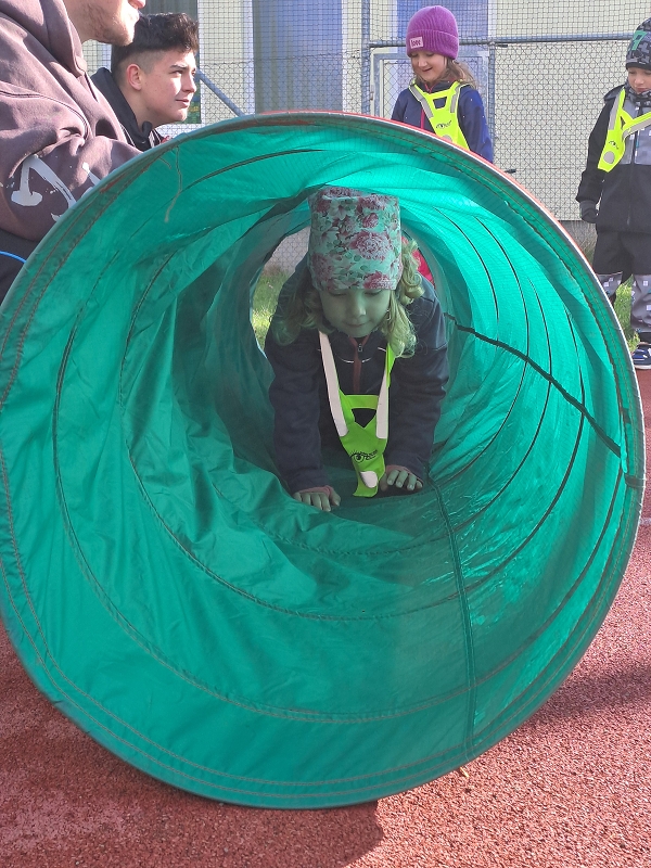 Pohár starosty města - Modrásci