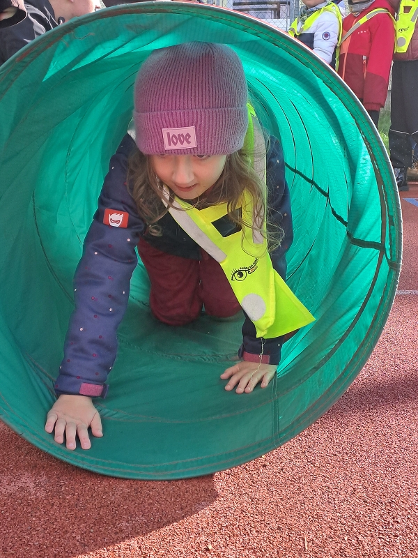 Pohár starosty města - Modrásci