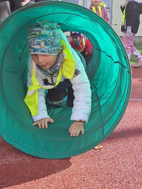 Pohár starosty města - Modrásci