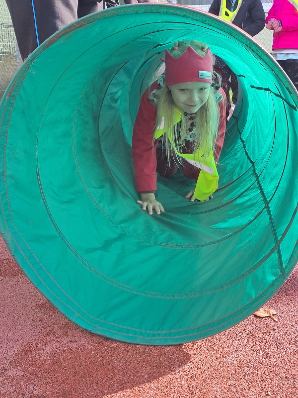 Pohár starosty města - Modrásci