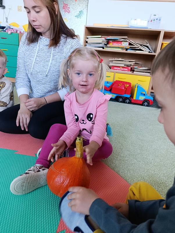 Zeleňásci - Na zahrádce