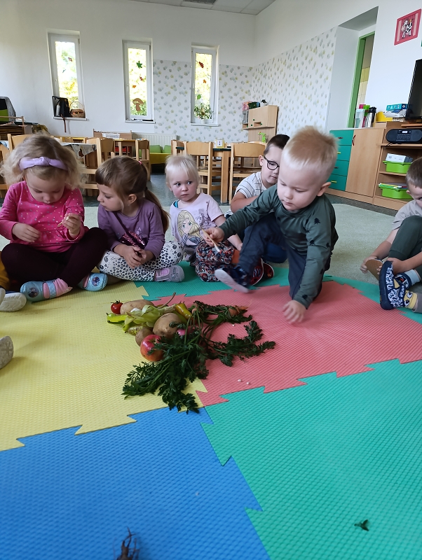 Zeleňásci - Na zahrádce