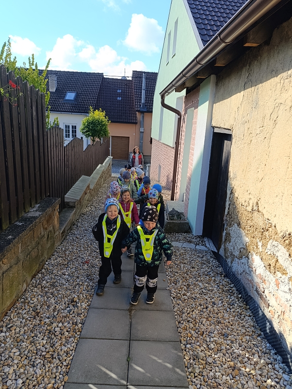 Zeleňásci - Na zahrádce