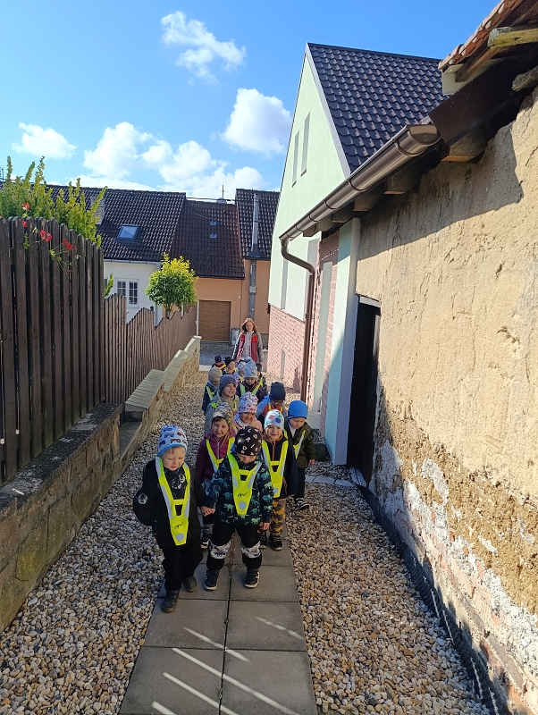 Zeleňásci - Na zahrádce