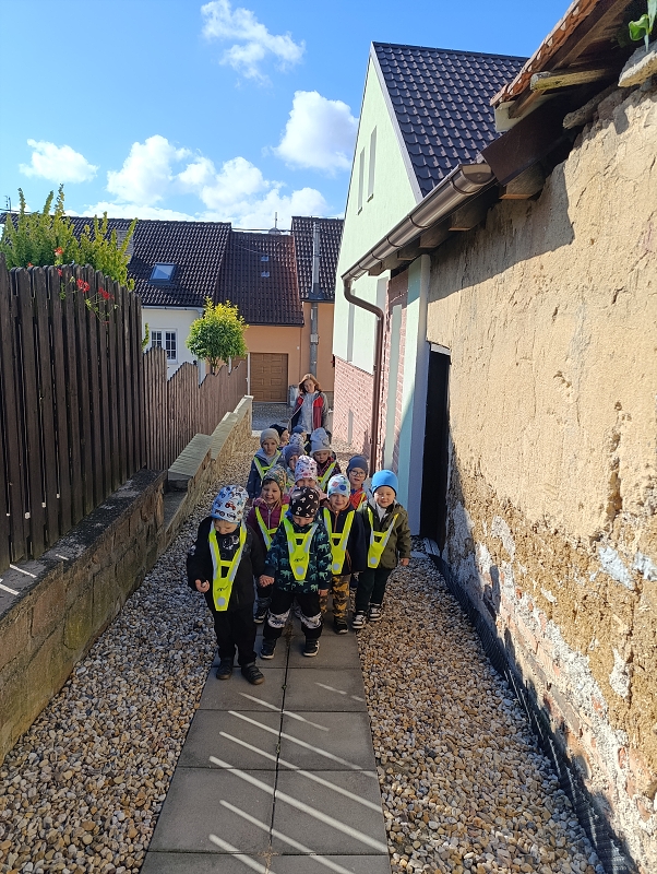 Zeleňásci - Na zahrádce