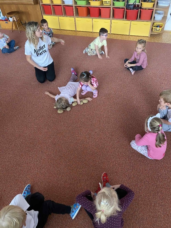 Žluťásci - Na poli