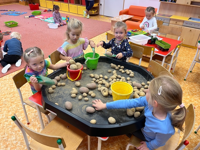 Žluťásci - Na poli