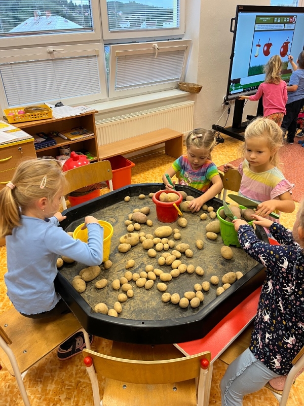 Žluťásci - Na poli