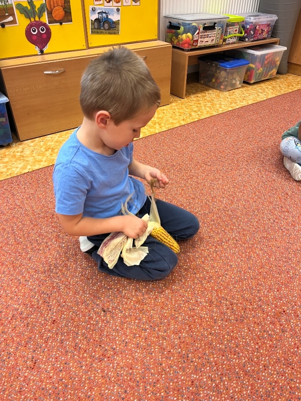 Žluťásci - Na poli