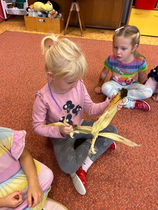 Žluťásci - Na poli