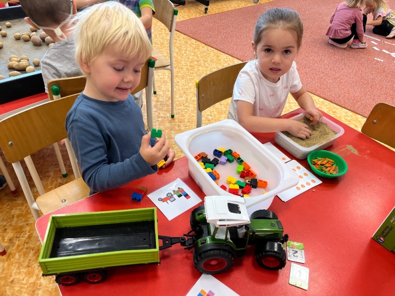 Žluťásci - Na poli