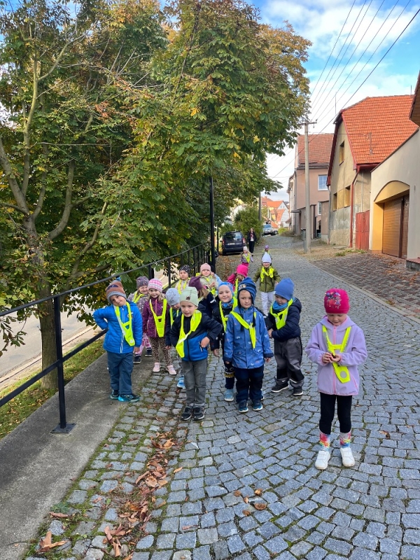 Žluťásci - Na poli