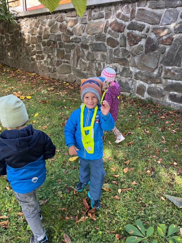 Žluťásci - Na poli