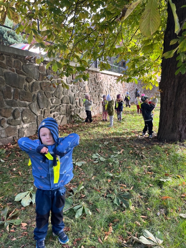 Žluťásci - Na poli