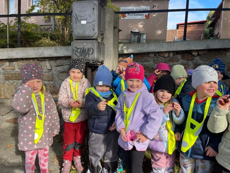 Žluťásci - Na poli