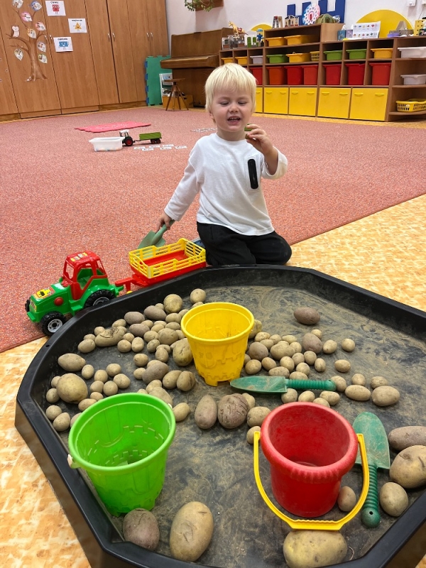 Žluťásci - Na poli