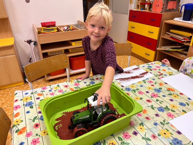 Žluťásci - Na poli