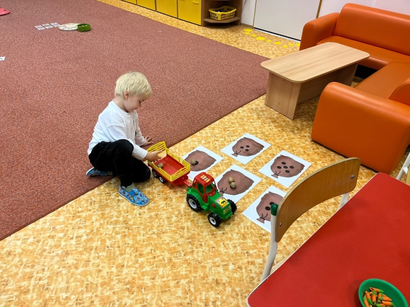 Žluťásci - Na poli