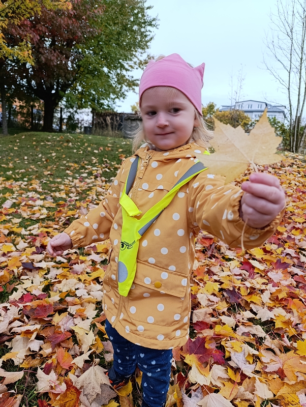 Zeleňásci - Skřítek podzimníček