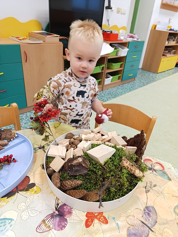 Zeleňásci - Skřítek podzimníček