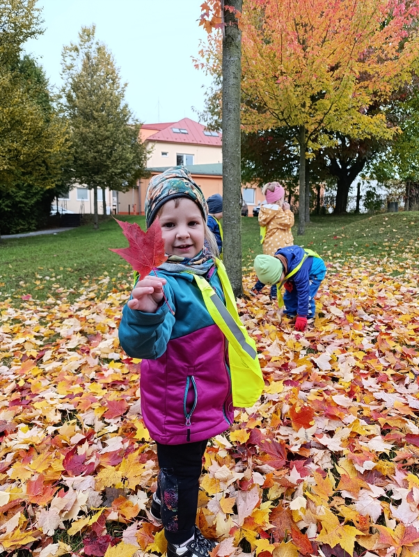 Zeleňásci - Skřítek podzimníček