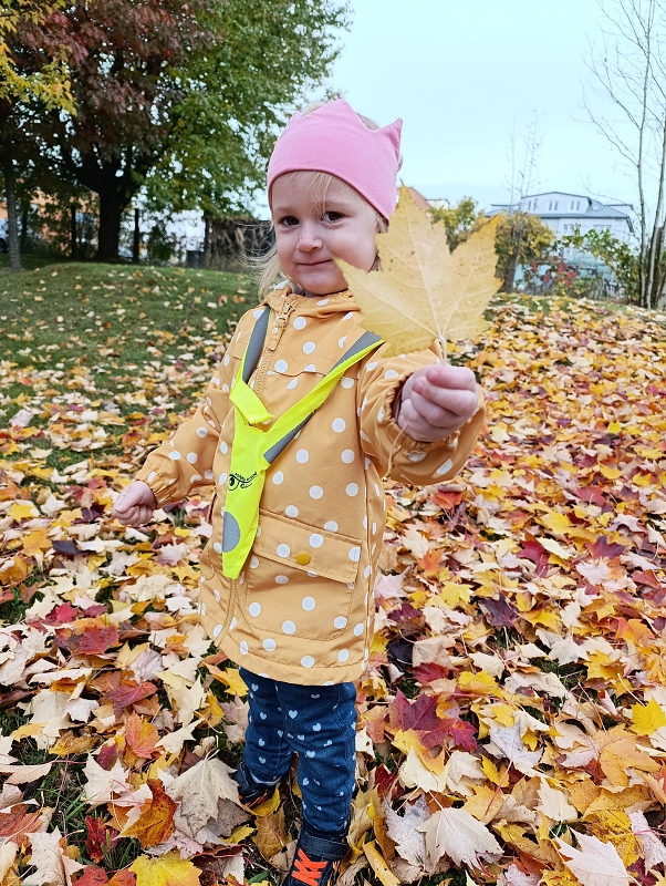 Zeleňásci - Skřítek podzimníček