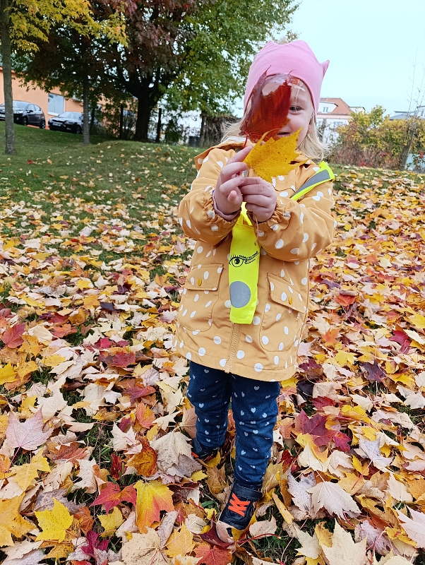 Zeleňásci - Skřítek podzimníček